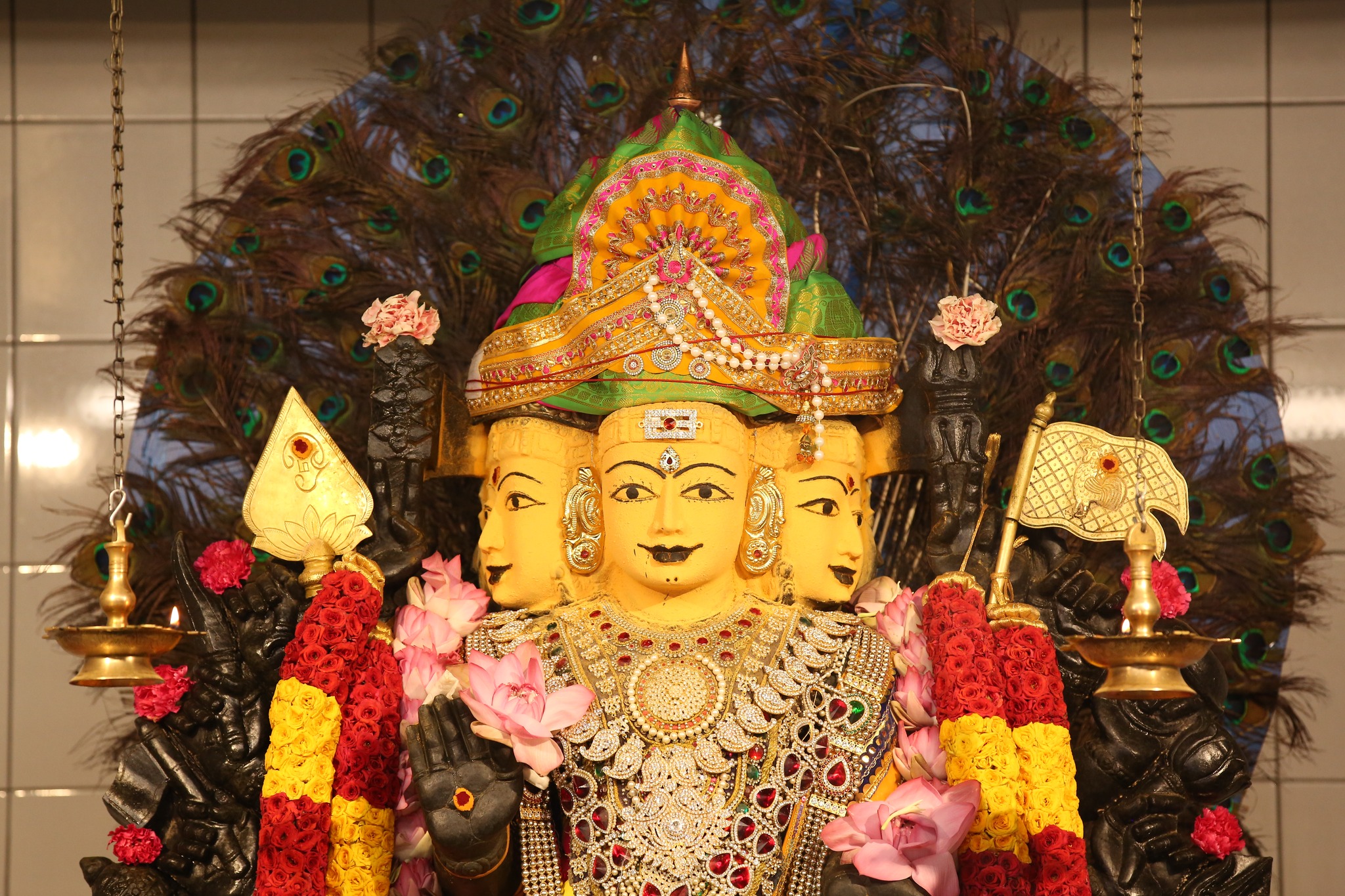 Festival Celebration